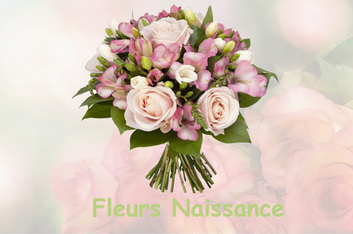 fleurs naissance SAINT-PERDON